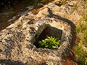 Nekropole na Monte Saraceno čítá přes 500 hrobek vyhloubených ve vápenci. Hrobky pocházejí z 9. století př. n.l. Z této pomalu vyrůstá fíkovník smokvoň (Ficus carica). Italský poloostrov Gargano, poblíž obce Mattinata a města Manfredonia. 