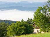 Moravskoslezské Beskydy, okolí chaty Švarná Hanka, 820 m.n.m, Grúň - srpen 2009.